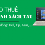 Cho thuê laptop